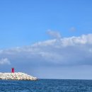 당신의안목 그라스 이미지