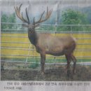 이세구농장 이미지