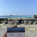 📍제주 함덕 오션뷰 카페 아라파파 | 바다 보며 쉬기 좋은 제주 베이커리, 다시 가고 싶은 이유