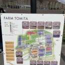 팜스타마트 이미지