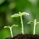 산 태권도장 이미지