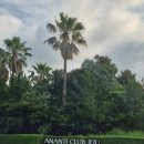 회원동064 이미지