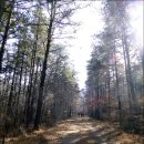 연산초교 이미지