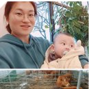 안인농장 이미지