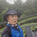 85세 이전에 사망위험을 높이는요인 탈피방법 이미지