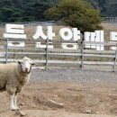 광부 농장 이미지