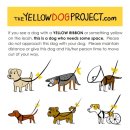 리본 동물병원 이미지