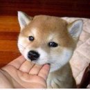 나주포차 이미지