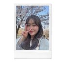 보라2통 이미지