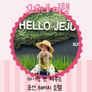 표선면 표선라이온스클럽 옆 | [아기랑제주] Day1 청주-제주 해비치호텔 아기랑 호캉스 아기랑 첫 비행기