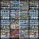 산수화할인마트 | 장가계 패키지 여행기 ✈ (11) 6일차 - 온라인투어/패키지/9월/노팁/노쇼핑/풀옵션/에어서울/직항/토가족...