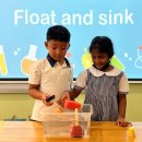 Floating and Sinking Fun at AHIS Preschool! 이미지