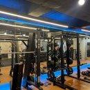 옐로우피티 이미지