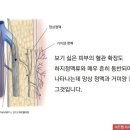 하트웰의원 이미지