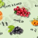 씨(C) 이미지
