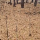 수하농장 이미지