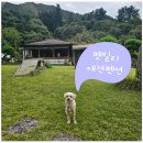 펫밀리 | 가평펫밀리애견펜션 퍼그동 내돈내산 방문후기