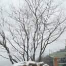 신선농원 이미지