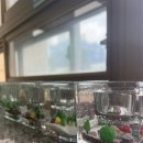 용현남초등학교 이미지