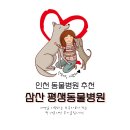 삼산평생동물병원 | 인천 삼산 평생동물병원 추천 후기! 제페니즈 스피츠 쓸개골수술