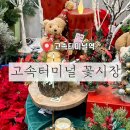 ［ 서초 / 고속터미널역 ] 고속터미널 꽃시장 크리스마스 트리 오너먼트 쇼핑 주차