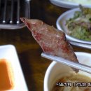 서래갈매기 이미지