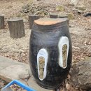 서인이네 이미지