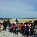 보물찾기 이미지