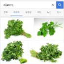 고수 이미지