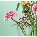 앤스테이 이미지