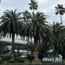 우진카써비스 | [제주여행] 4월 제주여행 4박5일 여행 2인 경비 후기