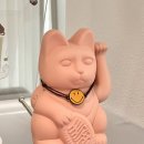 그레이스 고양이 심장&치과병원 이미지