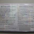 캡슐인강릉 이미지