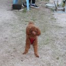 두밀리낚시터 이미지