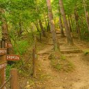 청대산 주차장 이미지