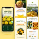 일감디자인연구소 네이버블로그