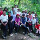 숲속통나무 이미지