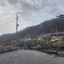 대지농장 이미지