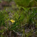 한마음 행정사 사무소 이미지