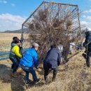 황새둥지 이미지