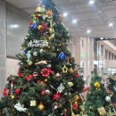 연세대학교내 및 입구 | 연세대 공학원 카페 더블랙나인 | 아메리카노 연대교내카페 추천