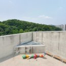 진관동 93-6 | 사비나 미술관 - 루프탑 프로젝트 &amp; AA 프로젝트 / 1층 갤러리 카페 방문후기