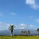 현대자동차 화북점 이미지