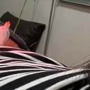 하하정형외과의원 이미지