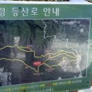 백두프라자 개방화장실 | 26년 3월 폭설 선자령 등산 후기 ( 강아지 동반 등산 )