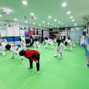 경희대 SJC 태권도장 이미지
