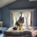 하회로 가는 펜션형민박 이미지