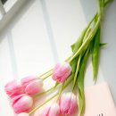 산들화원 - 창원시 의창구 화천로 25 | 산들화원