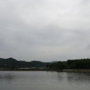 부제리 이미지
