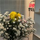 임신 37주차 : 임산부 119 안심콜 서비스 등록 완료 (방법)